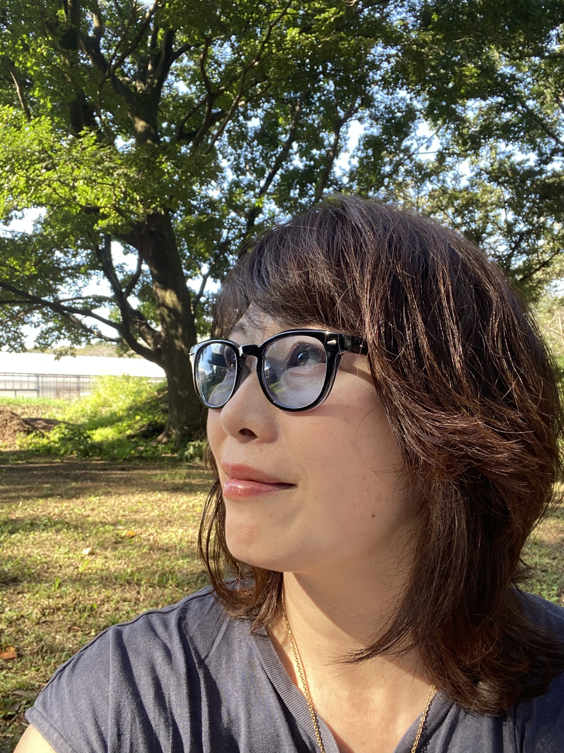 11月のお知らせ