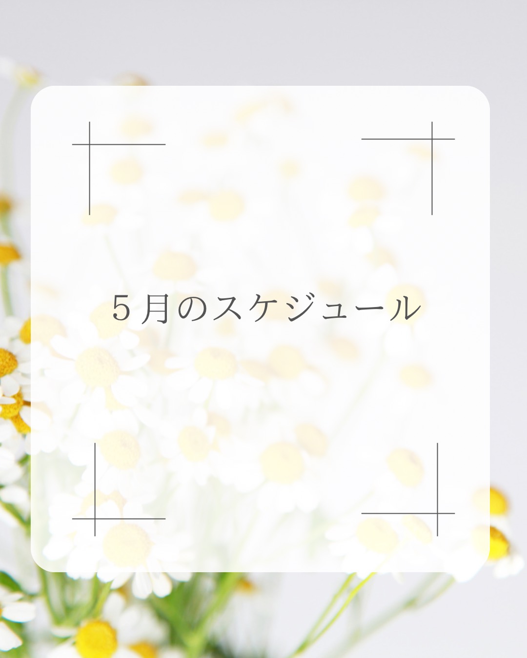 🌿５月スケジュールのお知らせ🌿